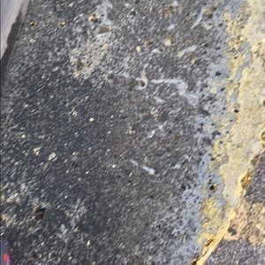 Meet your Posher, Ronnie